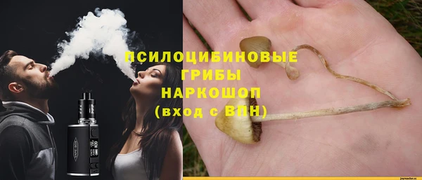 трава Пересвет