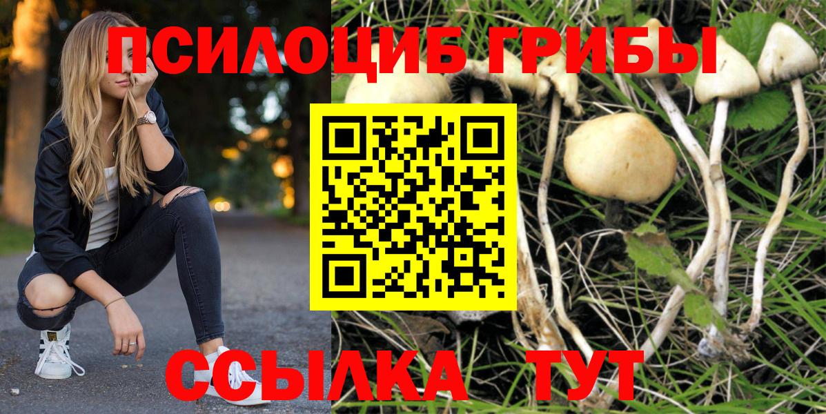Галлюциногенные грибы Psilocybine cubensis Тайшет