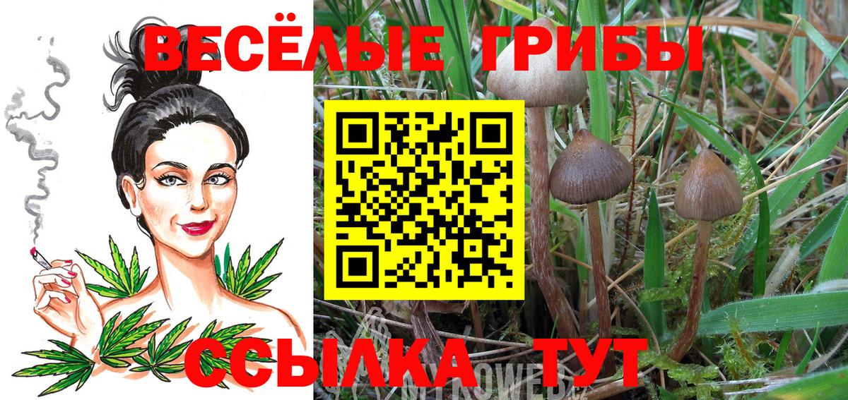 Галлюциногенные грибы Magic Shrooms  Галлюциногенные грибы MAGIC MUSHROOMS  Тайшет  Вход с VPN 